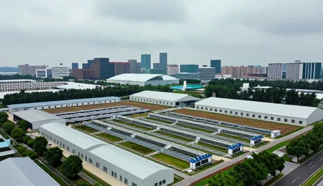 技术转让在技术赋能中的实际应用分析